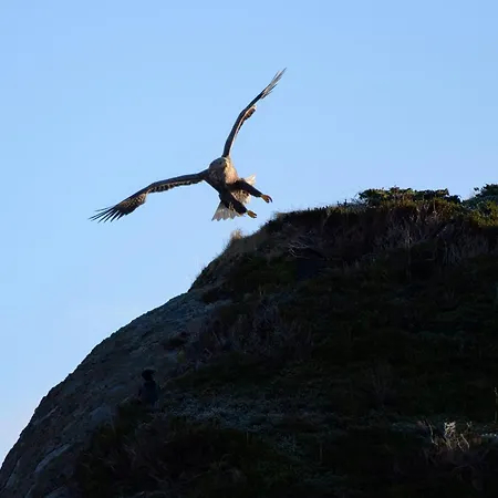 Hamnoya Bridge Panorama * Reine