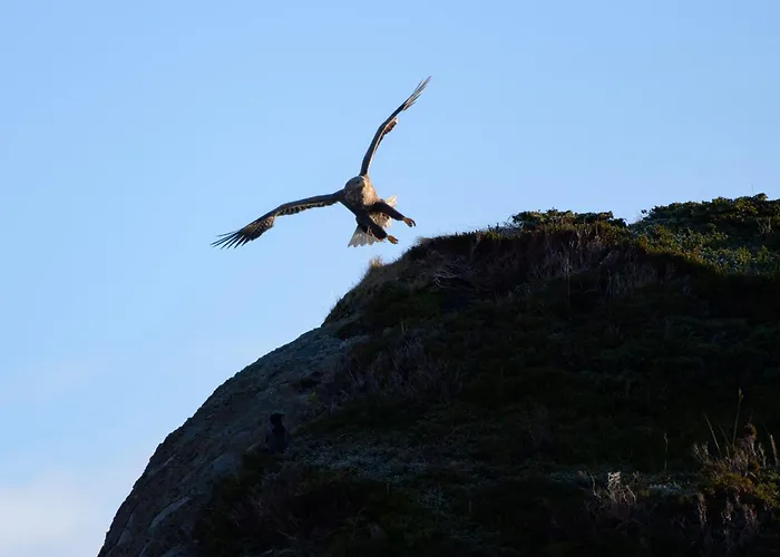 Hamnoya Bridge Panorama * Reine